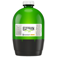 Elysian Space Dust IPA